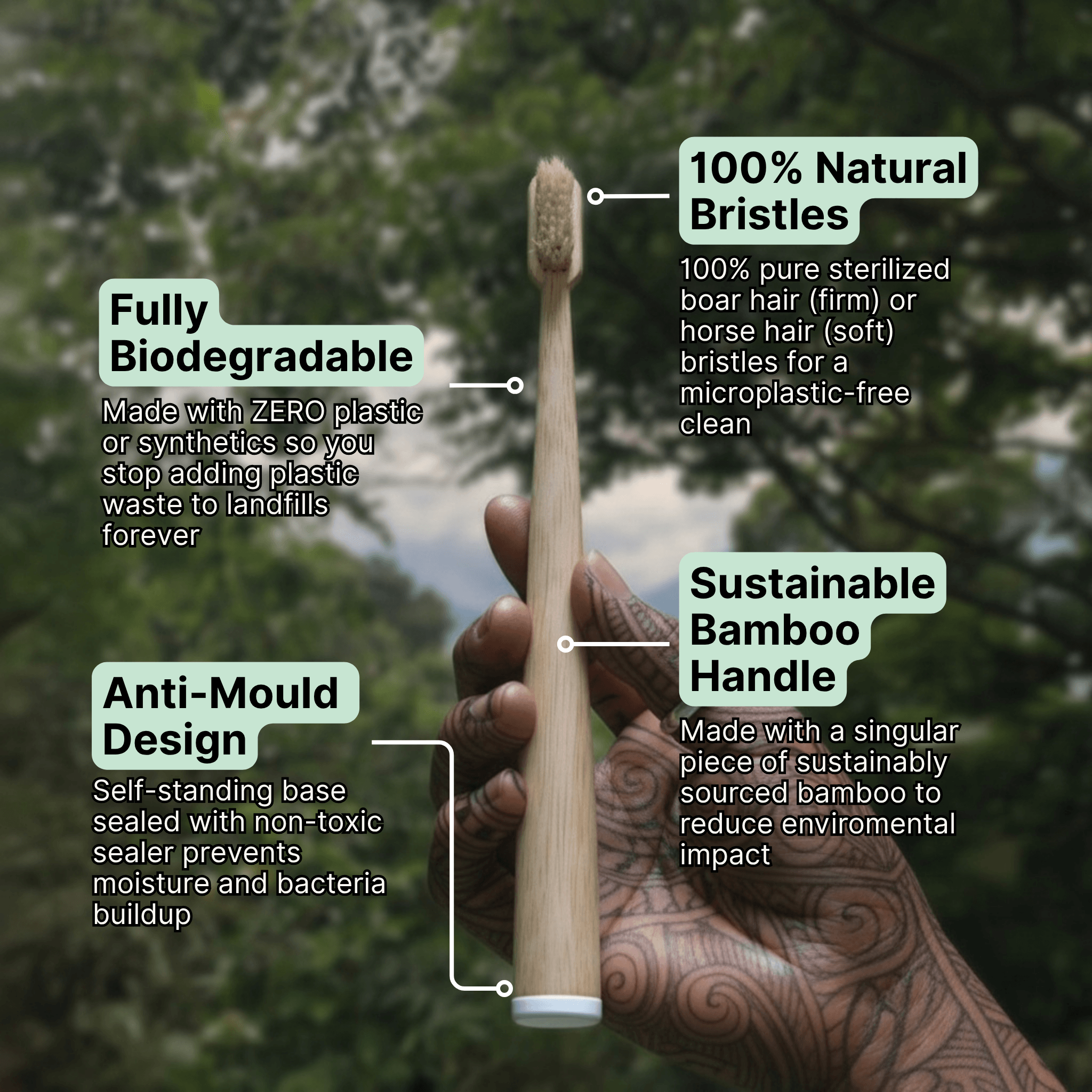 Boar Bristle Toothbrush (4 Pack) - boar or horse hair and bamboo